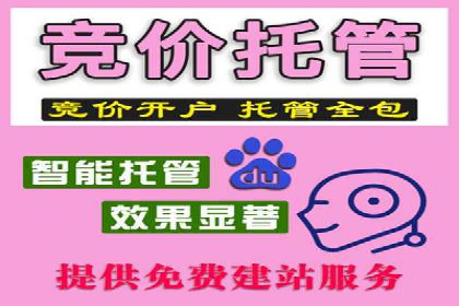 百度推广策略揭秘：某行业领头羊的成功经验
